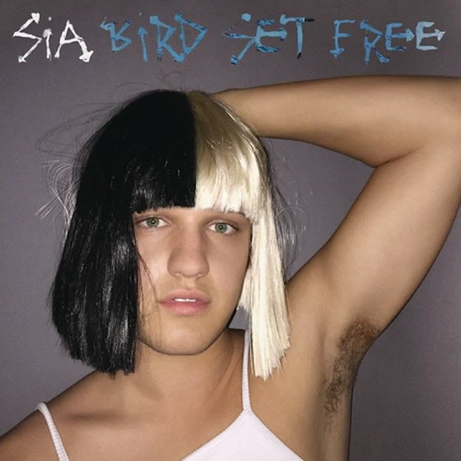 Bitnbeats's tweet photo. Sia New Single 'Bird Set Free', Listen here: https://t.co/Y5cSOtgWDi #sia #BirdSetFree #newsingle https://t.co/npw7r9XqEz