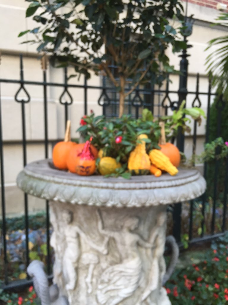 The_Winners_'s tweet photo. #cornucopia ? https://t.co/magr1SKfqI