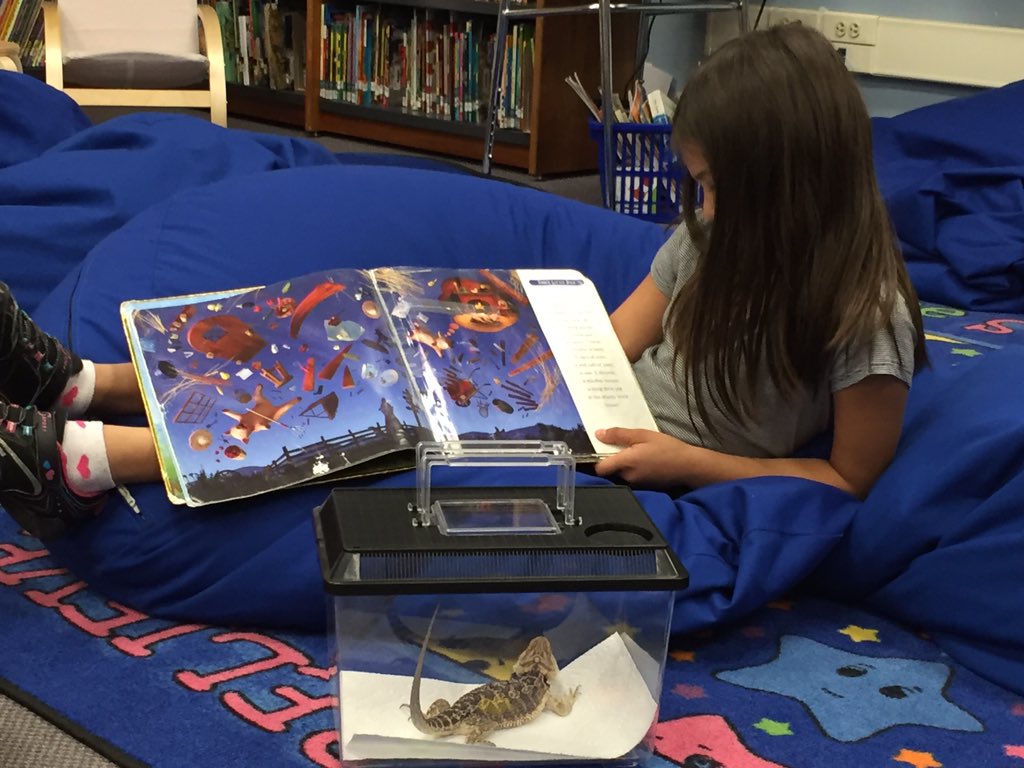 butterfli820's tweet photo. Smaug enjoyed reading "Can You See What I See" with a kiddo in the library today. :) @PetsinClassroom #365u https://t.co/LmBKoTY71u