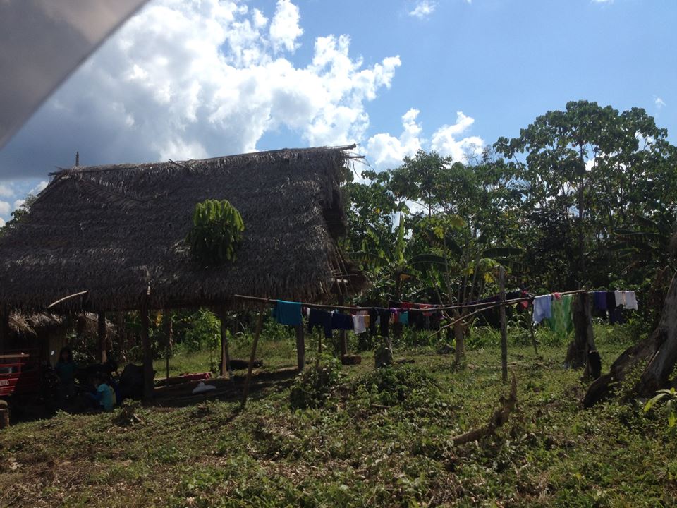 hollyodonnell00's tweet photo. The community across the river from our jungle basecamp #Lucerna #peru #LifeInTheAmazon #animalconservation #zoology https://t.co/y9gVkBfZik