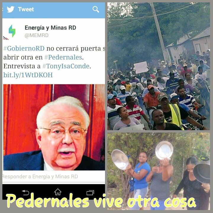 erinia_w's tweet photo. ¡Cotorra y cuento!  #TonyIsaConde PEDERNALES VIVE OTRA COSA https://t.co/GIxpOHIB89
