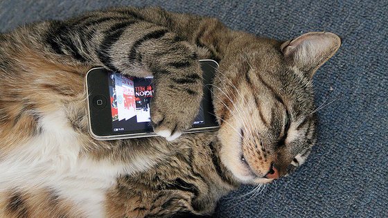 How "Best Practices" Change When You’re Dealing with Mobile-Responsive Landing Pages: bit.ly/1BWFfVl