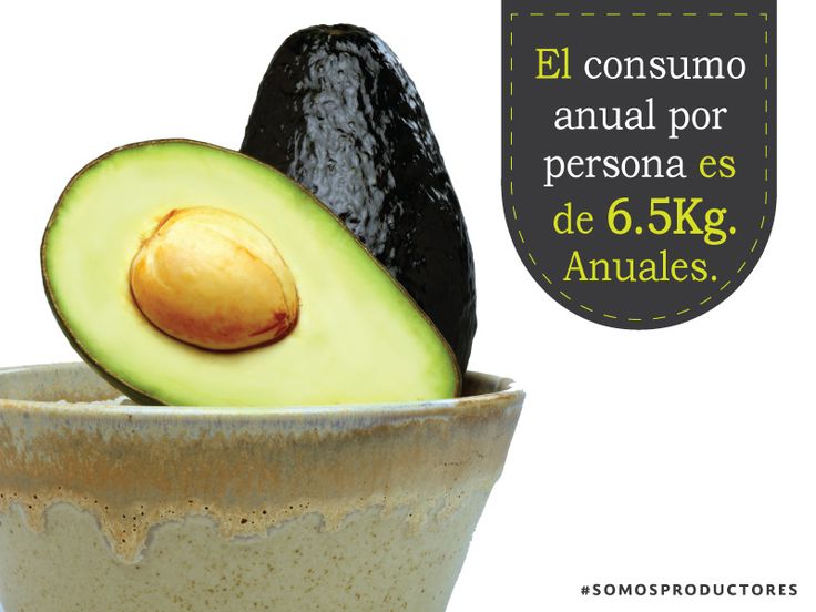 Agricultura_mex's tweet photo. México es el principal productor de aguacate en el mundo. #SomosProductores https://t.co/l6PYPddX7I