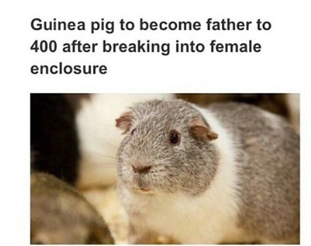 what a legend