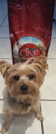 FrugalShopping1's tweet image. What difference will you see? #FreeSample #ONEdifference puri.na/17Id84N