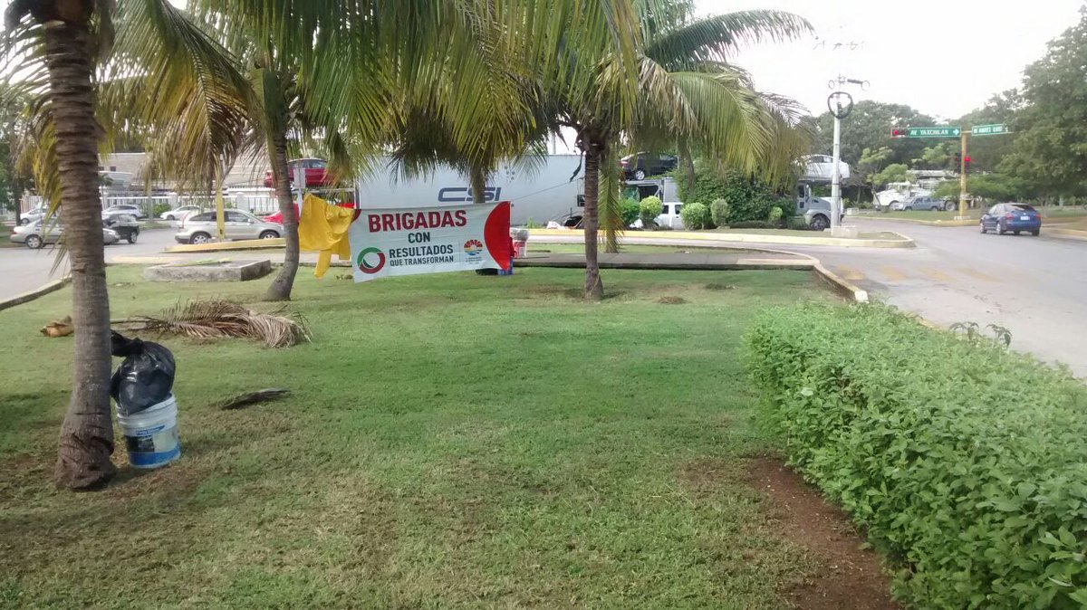 EmmanuelZetina's tweet photo. @Parques_BJ en trabajos de limpieza en #AvNichupte @PaulCarrillo2 #ResultadosQueTransforman @VivoEnCancun https://t.co/lJ4klerhMg