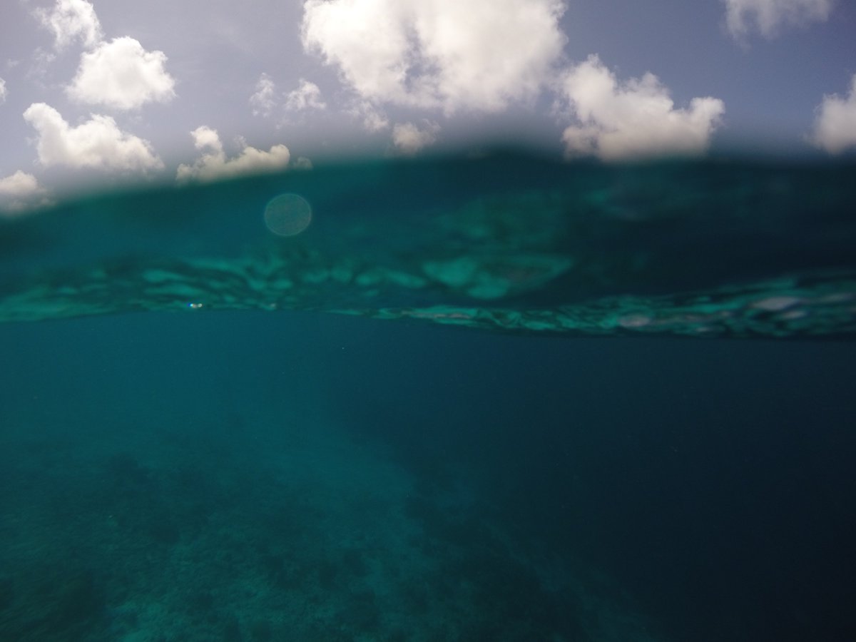 196880N's tweet photo. look beneath the surface #oceans #mcgbs15 #scubadiving https://t.co/62f9AhK0jf