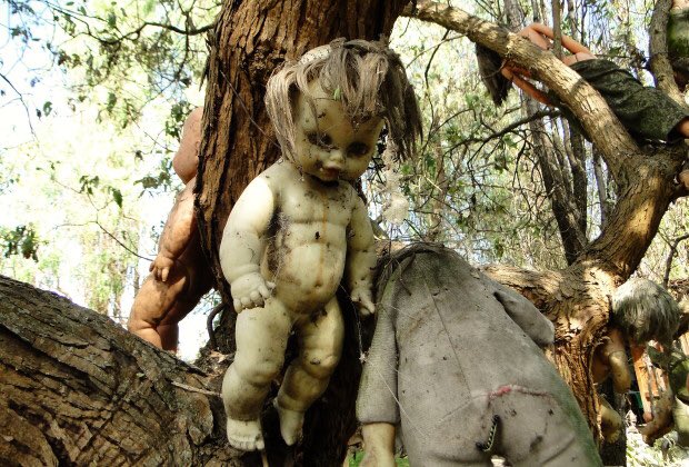 abandonplace's tweet photo. Isla de las Munecas (Island of the Dolls) Xochimilco, Mexico City, Mexico https://t.co/s7AphoM18R