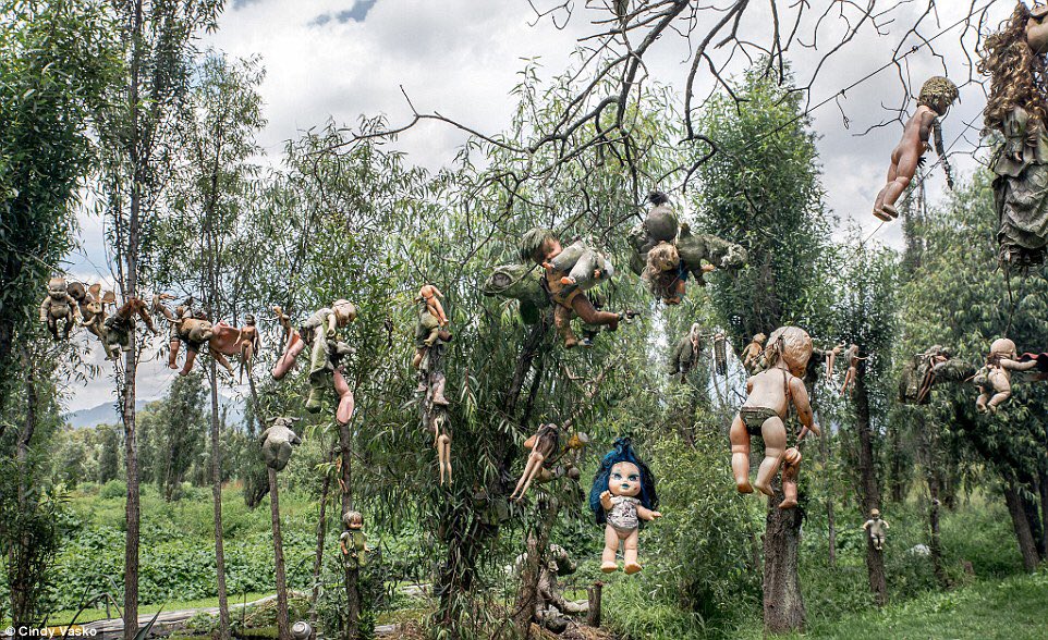abandonplace's tweet photo. Isla de las Munecas (Island of the Dolls) Xochimilco, Mexico City, Mexico https://t.co/s7AphoM18R