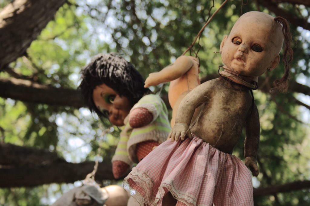 abandonplace's tweet photo. Isla de las Munecas (Island of the Dolls) Xochimilco, Mexico City, Mexico https://t.co/s7AphoM18R