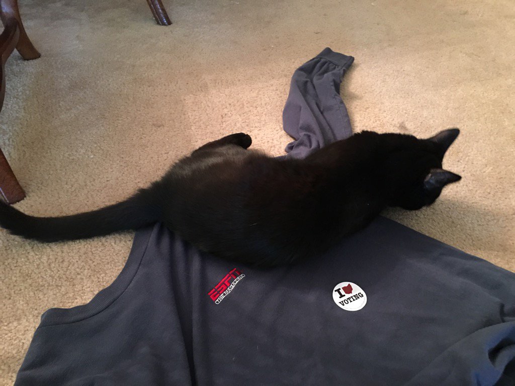 markowitzd's tweet photo. Ellie was rather indifferent about issues 2 and 3. Perhaps if there was catnip involved... https://t.co/DcJsEAS1JQ