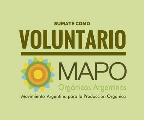 MAPO tweet media
