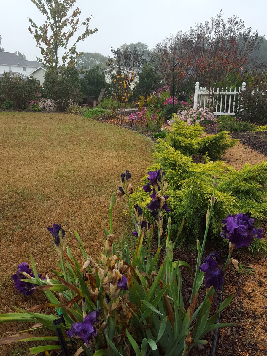 Gardens, rain and Autumn color #hclcblessings