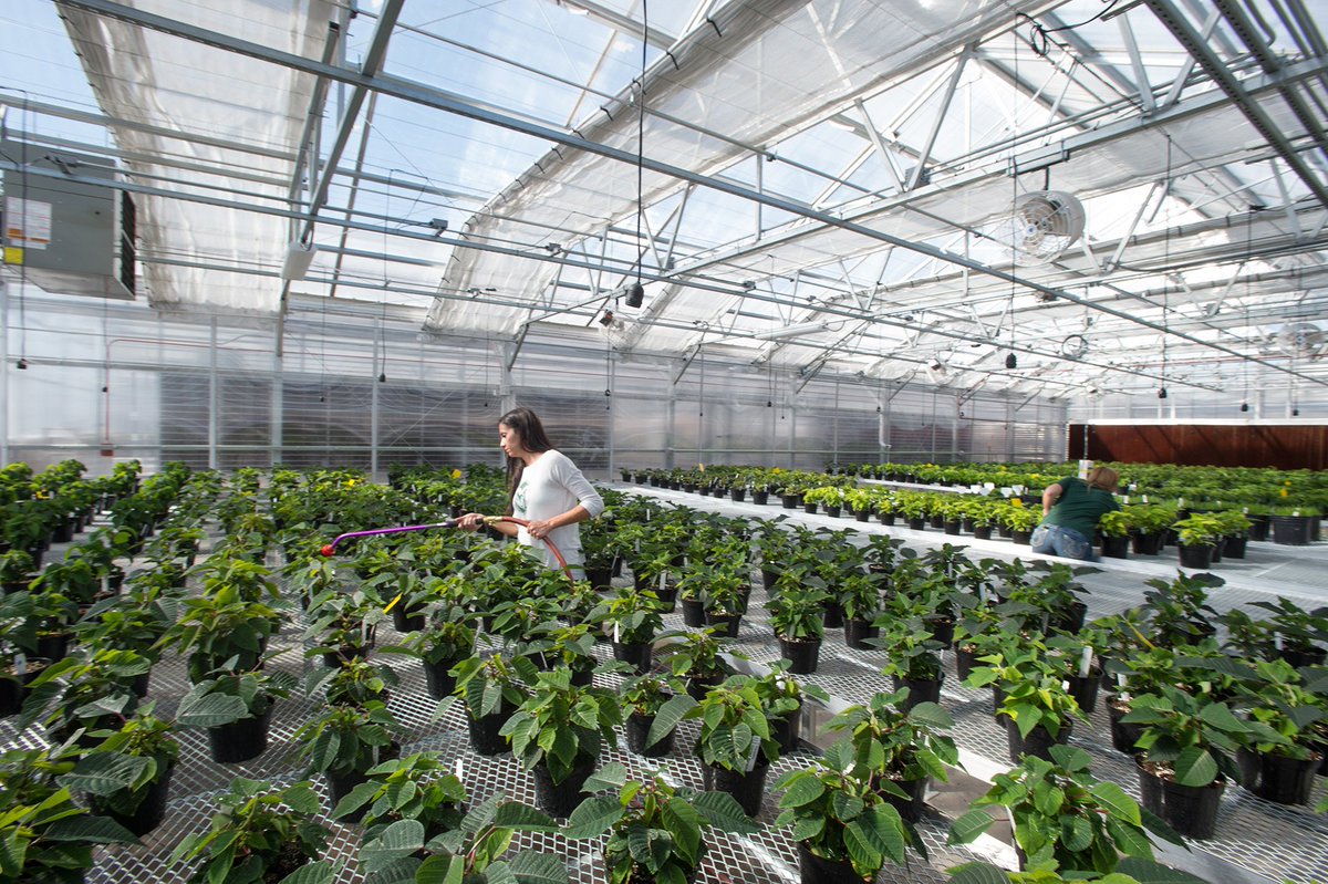 It's a really good time to be an Ag Science major

harvestpublicmedia.org/article/good-n…