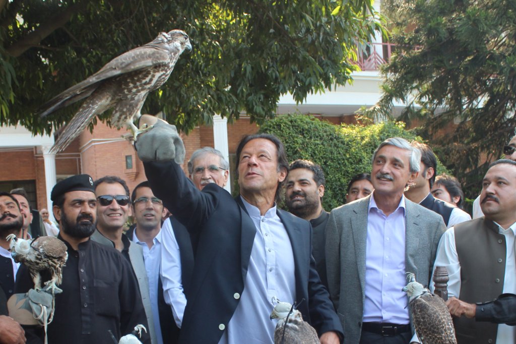 AtifKhanpti's tweet photo. Eagles &amp; falcons released in wild , smugglers tried to smuggle them abroad. Timely action by wildlife dept KP https://t.co/APiUQCBPm8