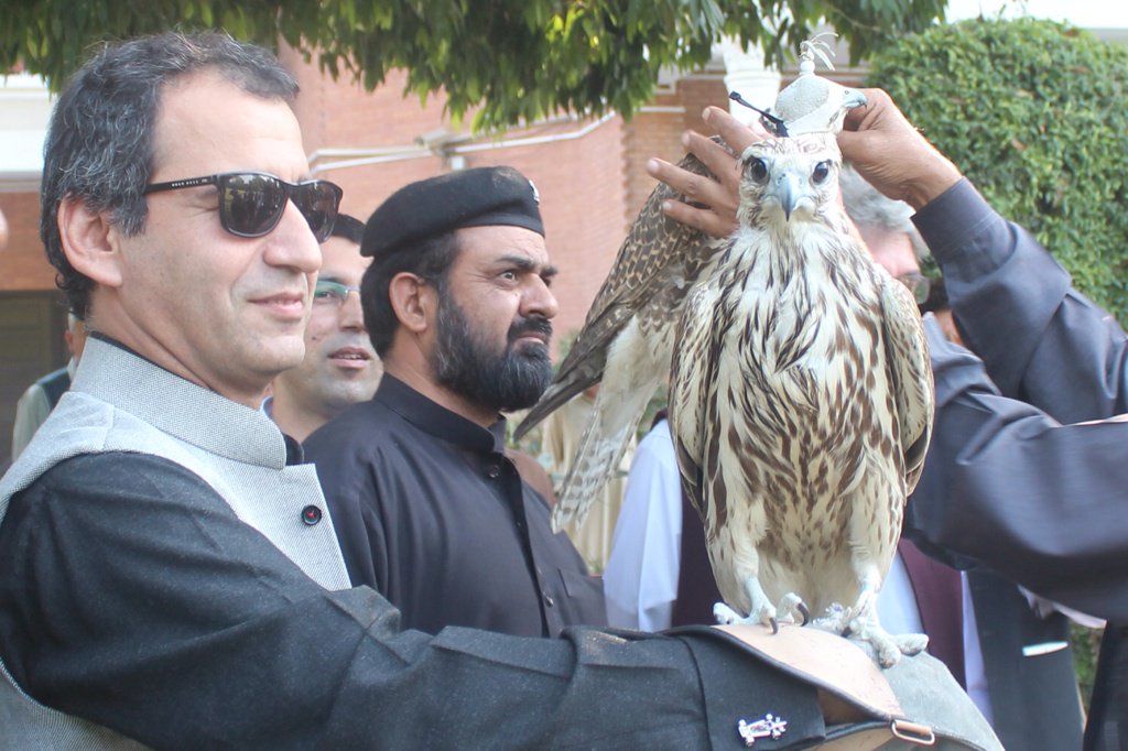 AtifKhanpti's tweet photo. Eagles &amp; falcons released in wild , smugglers tried to smuggle them abroad. Timely action by wildlife dept KP https://t.co/APiUQCBPm8