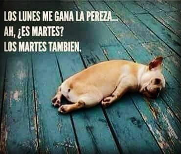 krendaniela10's tweet photo. Jajajajaja Que ternura 😍 Así vivo toda la semana 😂😂 https://t.co/aTRih3I7O7