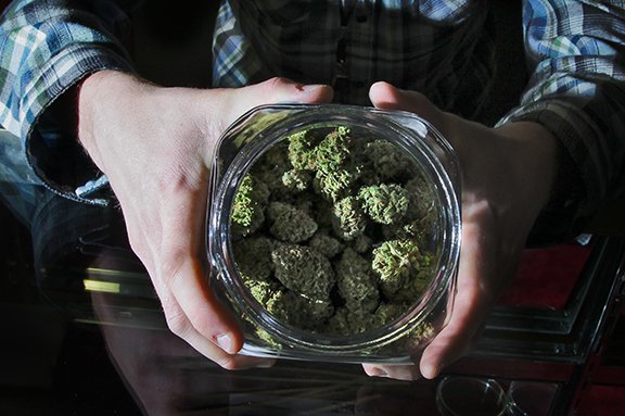 DoBianchi's tweet photo. Will “big” marijuana go the way of “big” wine? https://t.co/BxQjeZ5P2v https://t.co/srFYADaWDp