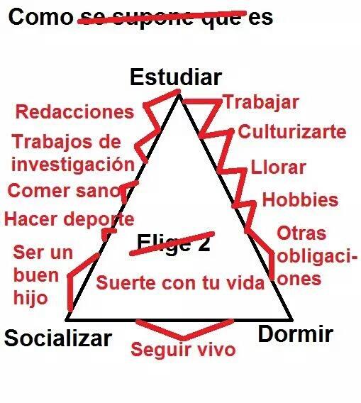 MrBarneyStynson's tweet photo. Como se supone que es estudiar vs la realidad. https://t.co/jMYbUHJpt7