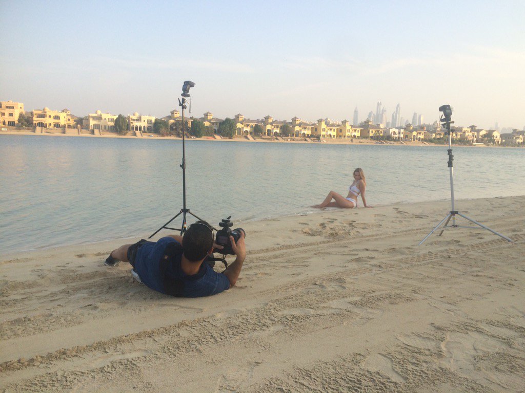 Rainbird_Models tweet media