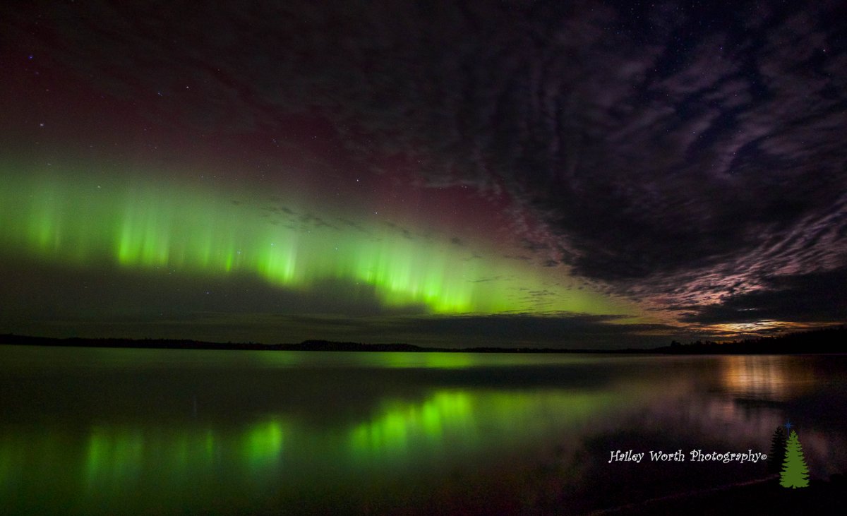 Permalink voor ingesloten afbeelding