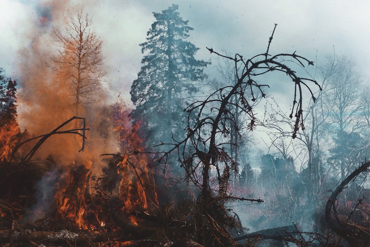 Grieved - S/T album out 01.22.16 via <a href="/ProstheticRcds/">Prosthetic Records</a>