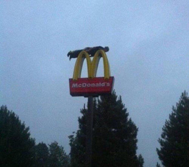 ACAB_4EVR's tweet photo. 2010 was a simpler time https://t.co/0QTcGCPAkg