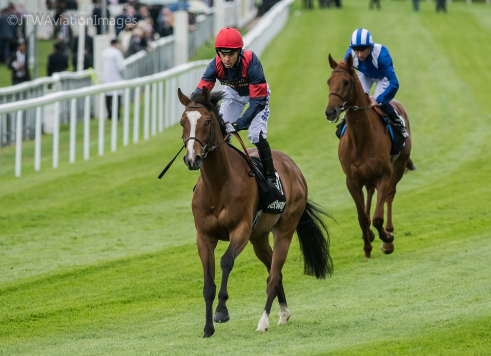 ChesterRaces's tweet image. #ChesterCup and @Ascot #GoldCup winner #TripToParis 4th in the @melbournecup- thanks to @JTWAviationImag for the pic