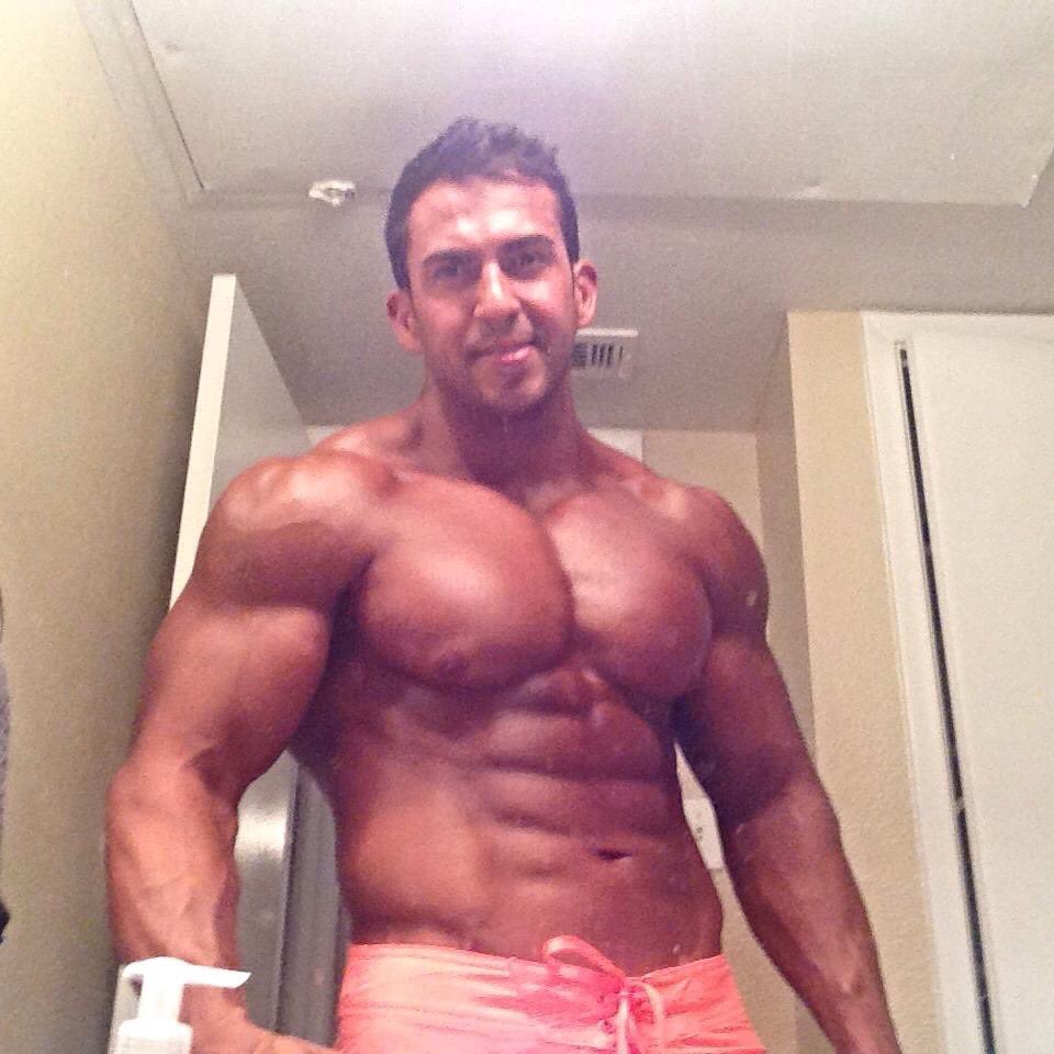 Muscle Guy on Twitter: "Remember, guys: Follow my blog: https://t.co