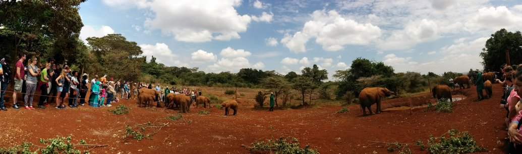 OloriSupergal's tweet photo. #googleinnairobi panorama view at David Sheldrick wildlife #fb https://t.co/kpz1Kwro24