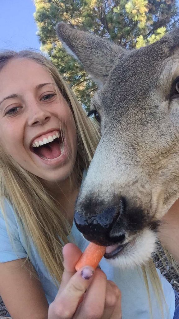 barksta35's tweet photo. HAHA I LOVE DEER https://t.co/N8Saxalwg2