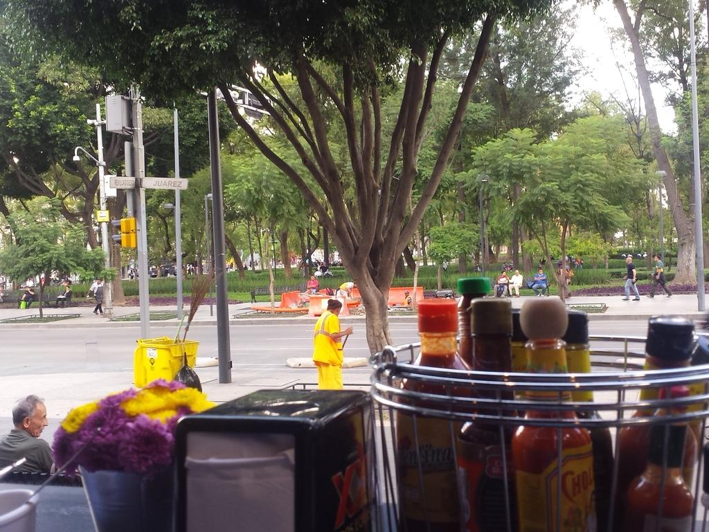1024Ginebra's tweet photo. Una delicia el disfrutar del Distrito Federal,  @lacerveceria_ un excelente lugar con una excelente ubicación https://t.co/pHQ5zIs58t