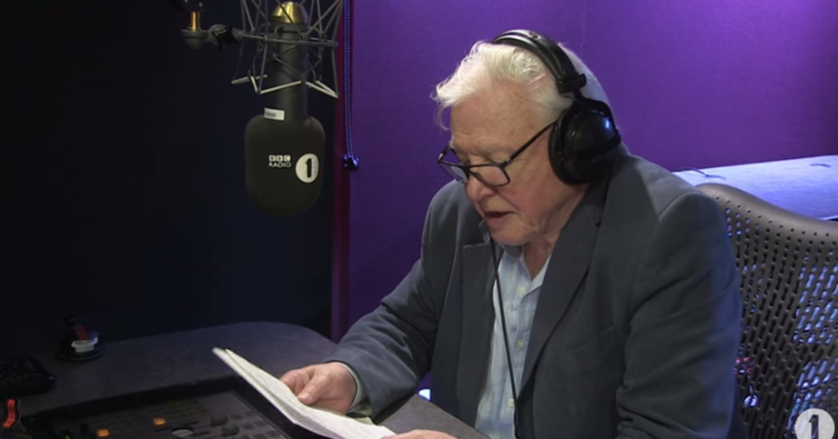 HuffPost's tweet photo. Watch Adele's "Hello" video majestically narrated by Sir David Attenborough https://t.co/Q8WOx7zQGy https://t.co/aIiOPDMfEh