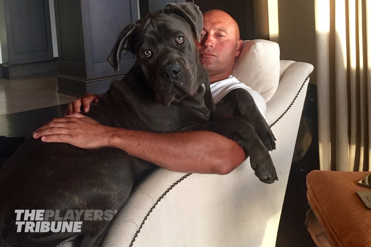 SportsCenter's tweet photo. Derek Jeter has a one-year-old puppy... and it is enormous. (via @PlayersTribune) https://t.co/dCvfibbZhf