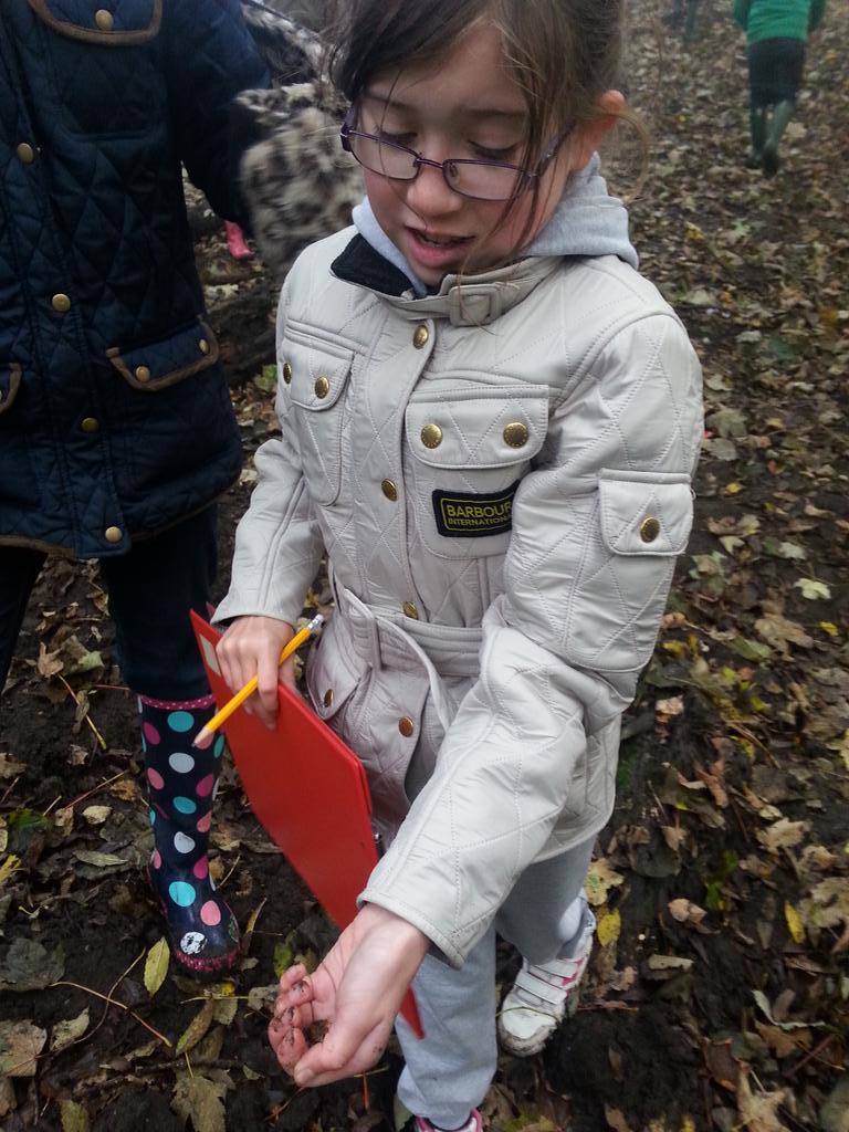 roebucklodge's tweet photo. @P6M_SPS #frogcatcher https://t.co/WvphrRCnPN