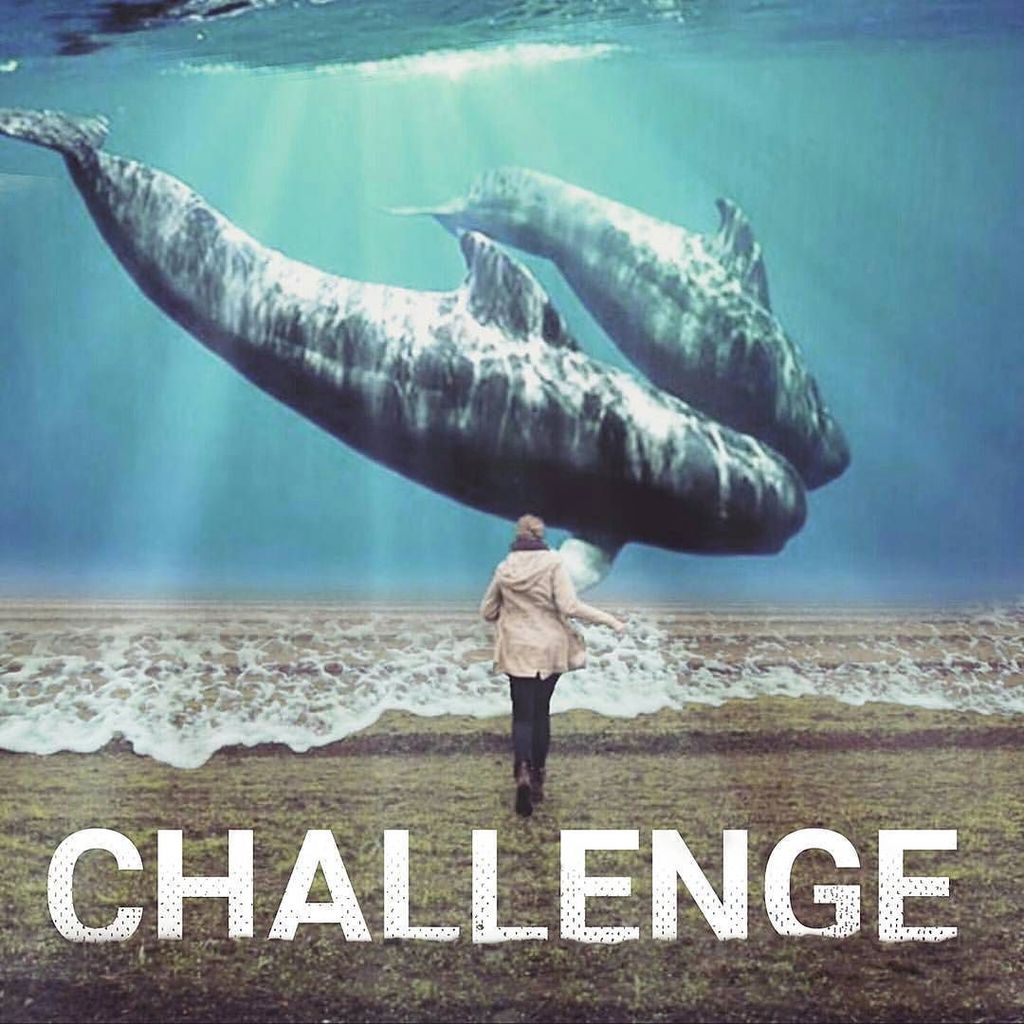 MadeWithMeld's tweet photo. presents:
☁ CHALLENGE - “AQUATIC SKY”🐳
___________________________________________
.
#madewithmeld_ASky
.
_________… https://t.co/03pI9DZ0G3