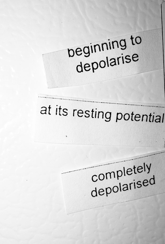 moremorgaine's tweet photo. Found this poem in pieces on the floor. #poem #foundpoetry https://t.co/c47demAsCv