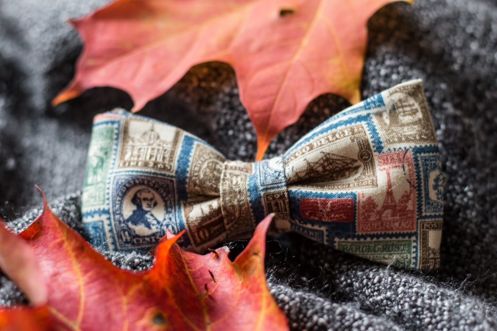 MFC_Bowties's tweet photo. Postage Stamps anyone? #FallLine 🍃🍂🍁#MFCBowties 🎀 https://t.co/FTTXvra4wa