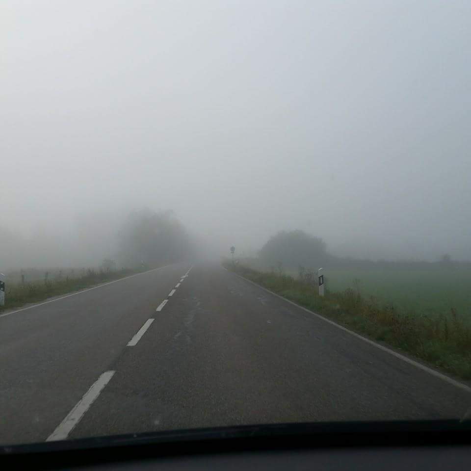 RevengeGermany's tweet image. I hate these foggy grey #NovemberDays #BadMood #MissingSun @