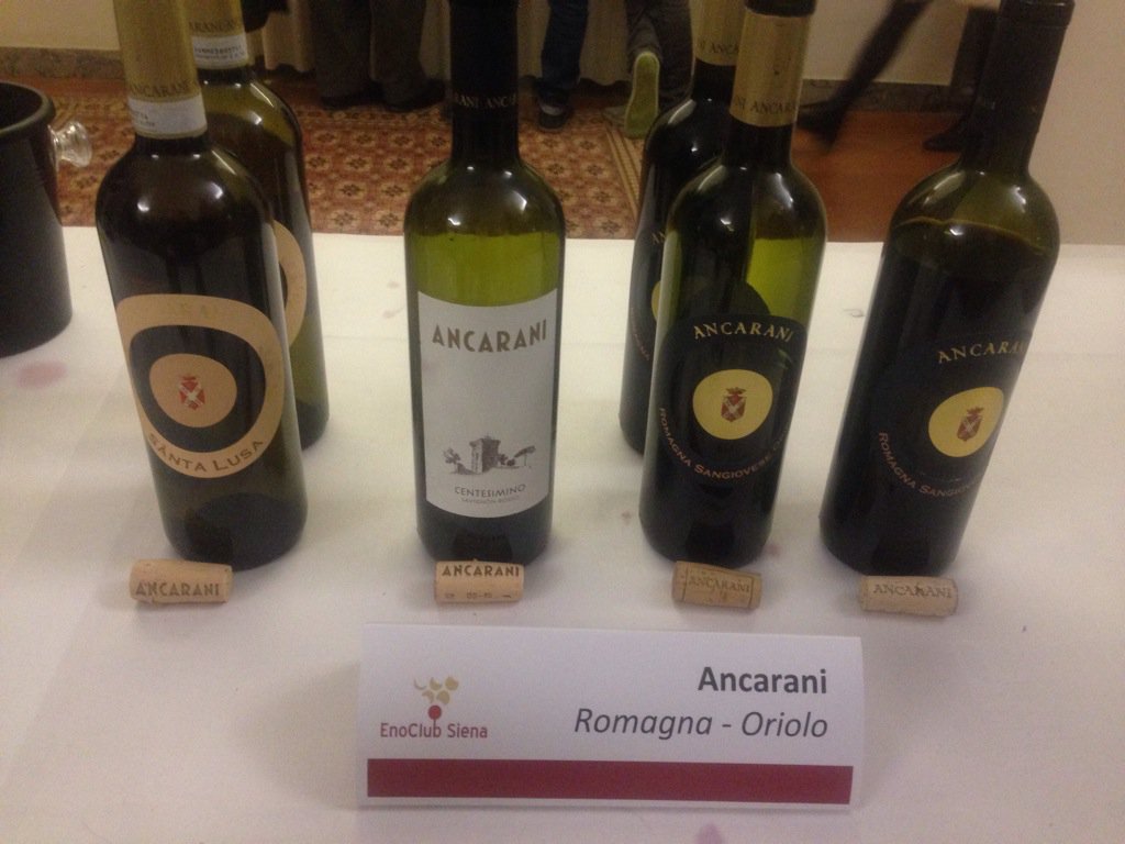 ancaranivini's tweet photo. https://t.co/rDFKRQJGxj