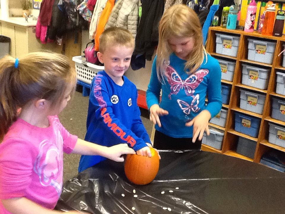 MT_Gr1's tweet image. First grade counting pumpkin seeds! Messy😝#lderrypop #countingfun