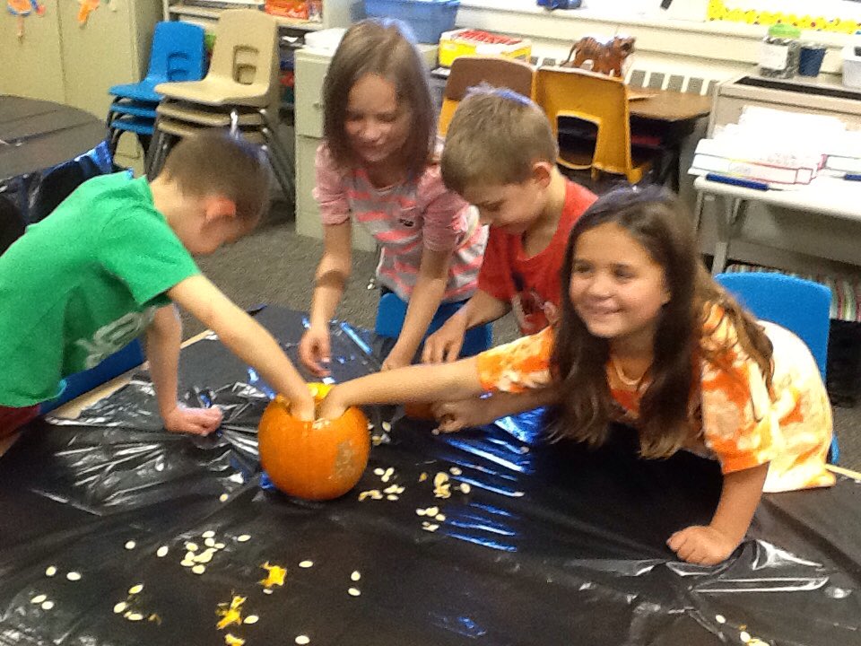 MT_Gr1's tweet image. First grade counting pumpkin seeds! Messy😝#lderrypop #countingfun