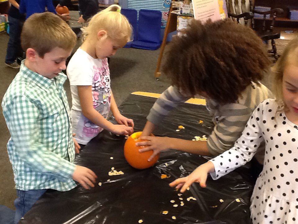 MT_Gr1's tweet image. First grade counting pumpkin seeds! Messy😝#lderrypop #countingfun