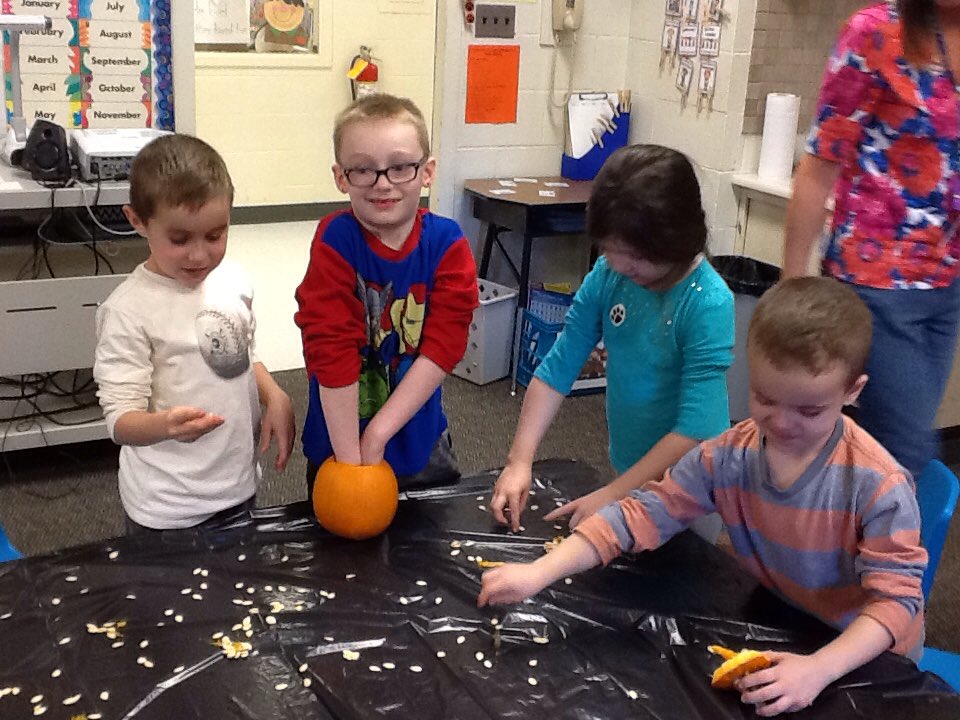 MT_Gr1's tweet image. First grade counting pumpkin seeds! Messy😝#lderrypop #countingfun