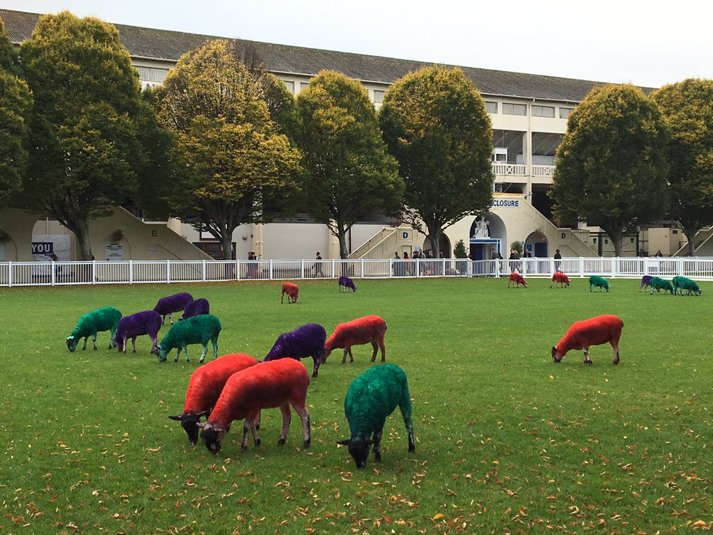 NextMediaHH's tweet photo. Impressionen vom ersten Tag auf dem #WebSummit in Dublin ^mls https://t.co/WVPl0NIXyM