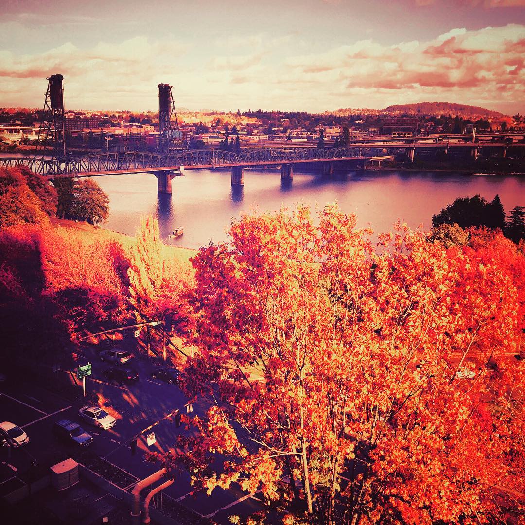 Portland Jobs tweet media