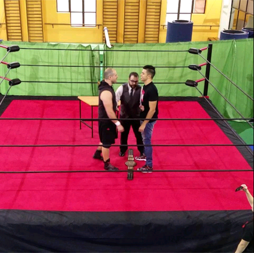 Título do WP e controlo do WPT em jogo num combate?