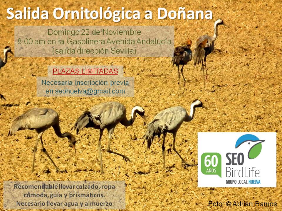 seohuelva's tweet photo. Salida Ornitológica en #Doñana #Huelva https://t.co/MB3cKZRdHM