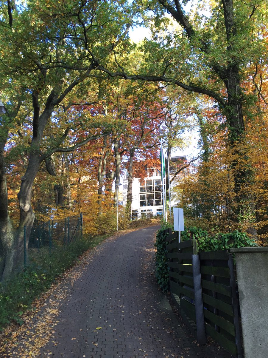 webcon_de's tweet image. Noch 11 Tage.