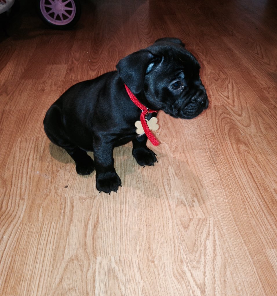 leighannegrif's tweet photo. My early Christmas present feeling spoilt 😍 https://t.co/ncnPc6ixB2